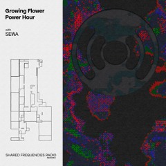 Growing Flower Power Hour | SEWA | August 2023