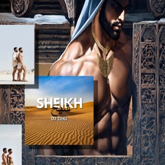 DJ Zeki - Sheikh شيخ