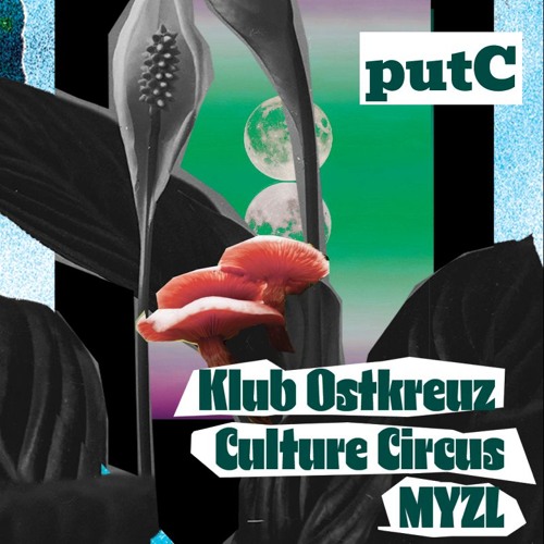 putC Sets