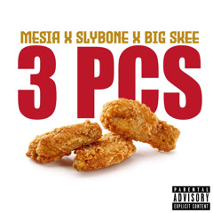 Certified 313