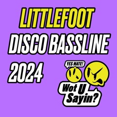 Littlefoot - DISCO BASSLINE 2024