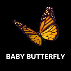 Elamar Deshae - Baby Butterfly