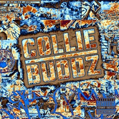 Let Me Know - Collie Buddz (Frosty x Wavechk Flip)