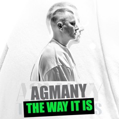 Agmany - The Way It Is