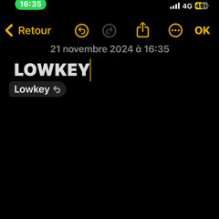 LOWKEY - JOKA