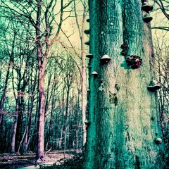 Klangphonics - Holocene, Pt. II (Humo Pirate Remix)