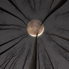 Right Away (PROD.KARDII)