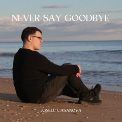 Never Say Goodbye