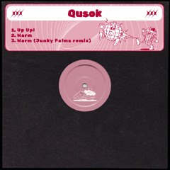 PREMIERE: Qusok - Up Up! [Junked Groove]