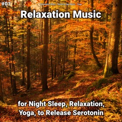 Relaxation Music Pt. 1