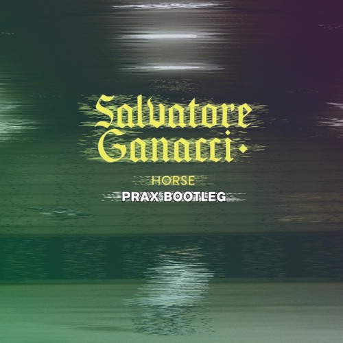 Salvatore Ganacci - Horse (Prax Bootleg)