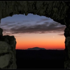 Ambient 80