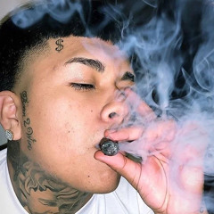 Bravo The Bagchaser - HOP OUT