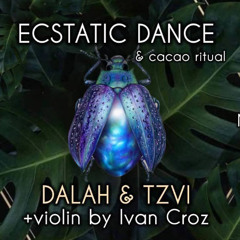 DALAH ⟁ Ecstatic Dance #3 - Shivari @ Koh Phangan, Thailand (May 2025)