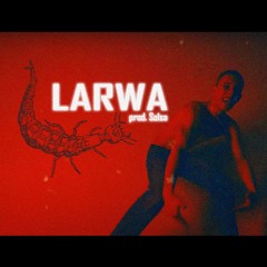 LARWA (prod. solsa)