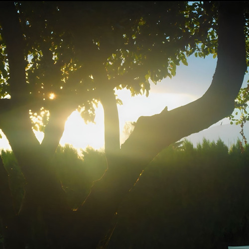 (HD) Fallen Down - Augustin Garnier piano reprise