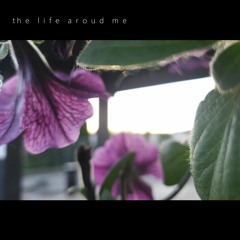 the life around me (w/gare)