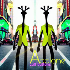 Abalone Cuff Buttons.