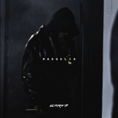 Playboi Carti - Magnolia (Remix)