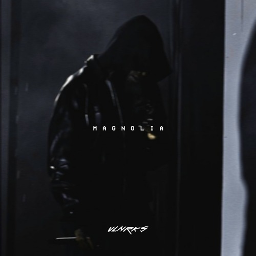 Playboi Carti - Magnolia (Remix)