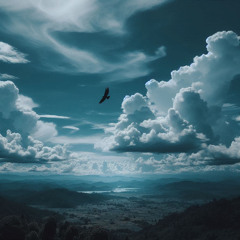 11-Bonus_Fly