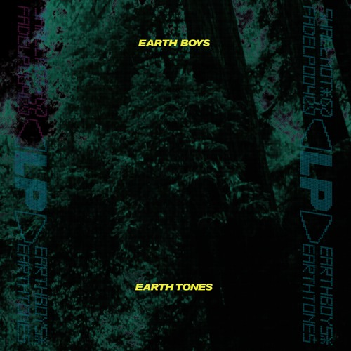 SNFLP004 // Earth Boys - Earth Tones LP