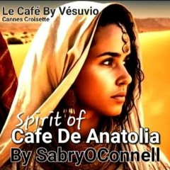 LE CAFE BY VESUVIO SPIRIT OF CAFE DE ANATOLIA BY SABRYOCONNELL 2