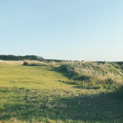 harsh/mavie（prod.DJ Snatch）