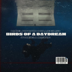 BIRDS OF A DAYDREAM (YorXwell Mashup)
