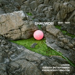 SHAUWDIII 3.9.24