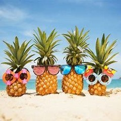 DJ LEE-C HOLIDAY TUNES