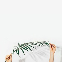 Palms