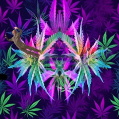 Freedom Tripping Rule