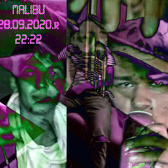 DS Label- DZIWKA MALIBU (prod. xddd pojebalo was type beat z neta)