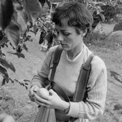 99 Silver Apples