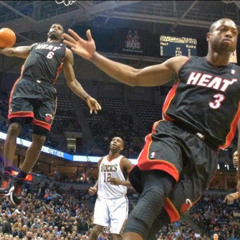 miami heat. with partyfawn