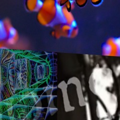 $uicideBoy$ – I Wanna Be Romanticized (slowed + chopped + fucked up)