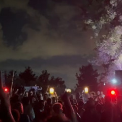 OfeK - Night "Munch"