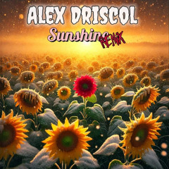 Sunshine remix