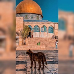 (وجاءت سكرة الموت بالحق) بالأداء الشهير للشيخ ياسر الدوسري - سورة ق _ Surah Qaf - Yasser Al-Dossary(