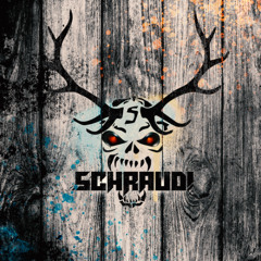 Schraudi - Supernova X - 28.03.2025 - #Roof