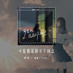 陈墨一（吖毛） - 可是我还放不下执念「只是错过的人不止是仅有我一个 我怎么都走不进你心 一路坎坷」【動態歌詞/Lyrics Video】 #陈墨一 #可是我还放不下执念 #動態歌詞