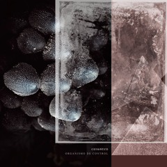 CF Premiere: Crushted - Organismo de control [EXP Records]