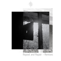 Repeat and Repair (Friends of Hannes Remix)