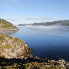 Belugas and a Minke whale in the Saguenay River -- Saguenay–St. Lawrence Marine Park, Canada