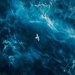 The Breaking Of A Spirit