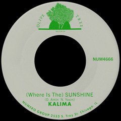 (Where Is The) Sunshine (Digital Bonus Pt. I & Pt. II)