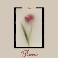 Bloom