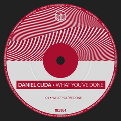 What You've Done (Original Mix)