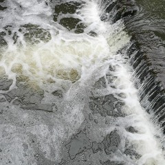 Submerged : The River Frome 2